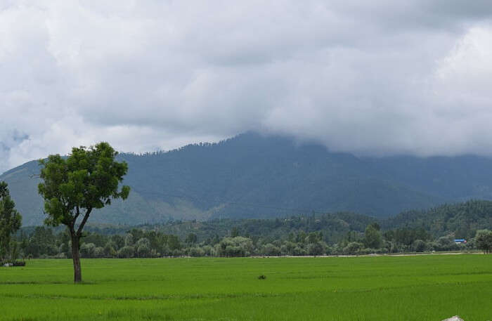 Kupwara In Kashmir