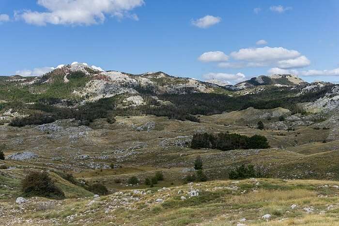 Lovćen National Park