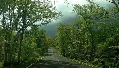 beautiful road in Malshej Ghat embracing majestic mountains, serene waterfalls and numerous enchanting lakes