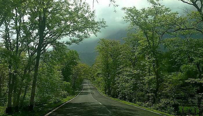 beautiful road in Malshej Ghat embracing majestic mountains, serene waterfalls and numerous enchanting lakes