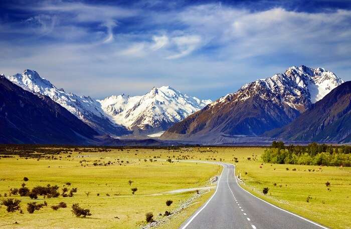 New Zealand in Autumn cover