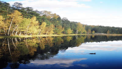 Nuuksio National Park