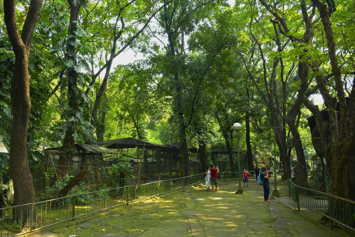 Phnom Tamao Wildlife Rescue Center_22nd oct