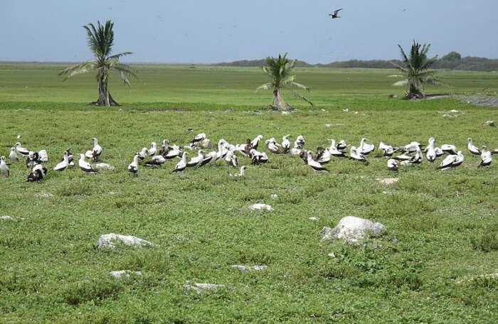 Phoenix Islands