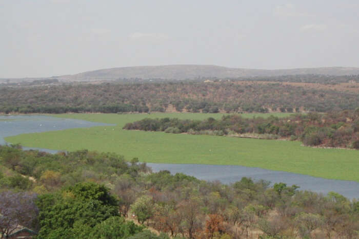 Roodeplaat Dam Provincial Nature Reserve