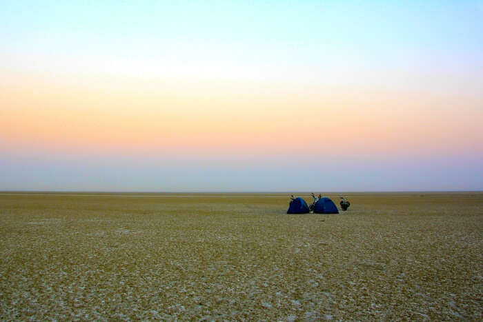 Sambhar Lake is counted among the wonderful tourist places in Jaipur