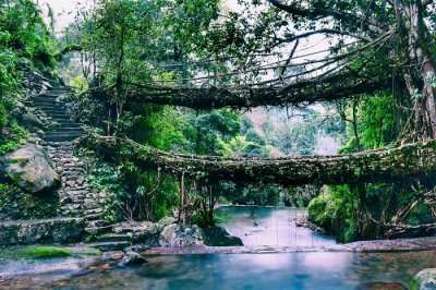 A picturesque view of Shillong root bridge