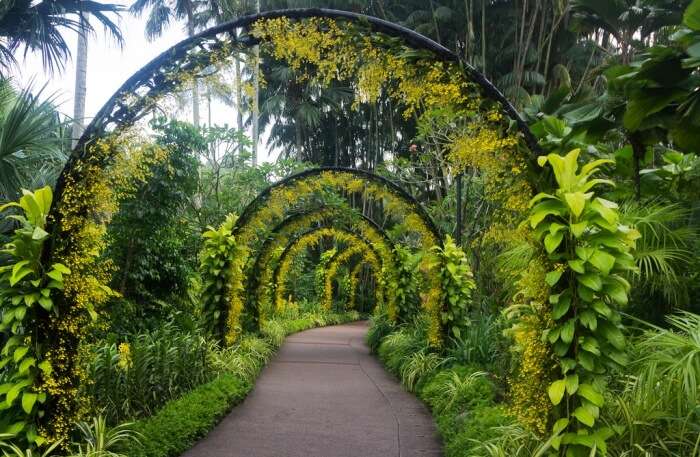 Top 8 Gardens In Singapore To Get Your