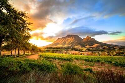 Stellenbosch Places To Visit cover