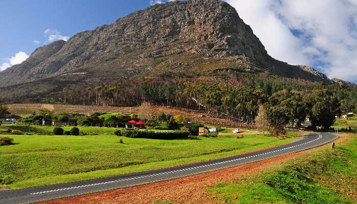 Stellenbosch View