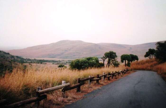 Suikerbosrand Nature Reserve view