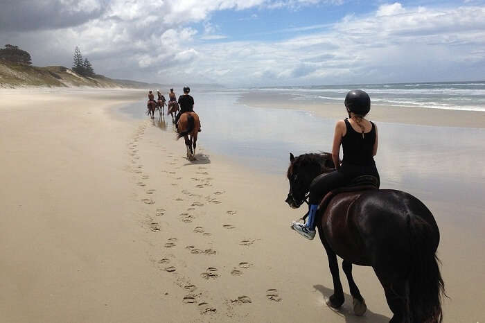 Take a beach horse riding tour