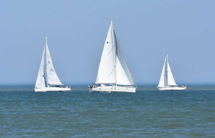 The San Francisco Sailing Company