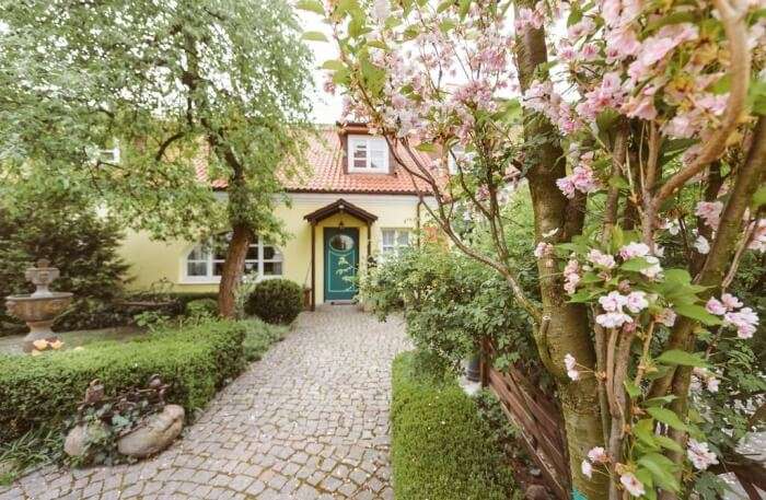 Garden view