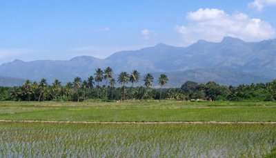 Theni- places to visit in tamil nadu