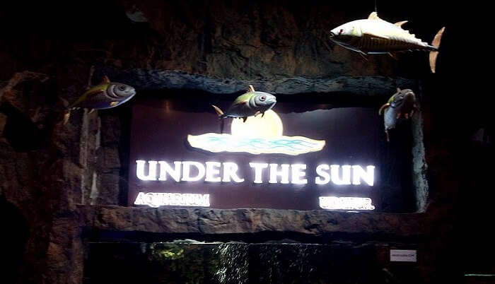 UnderTheSun