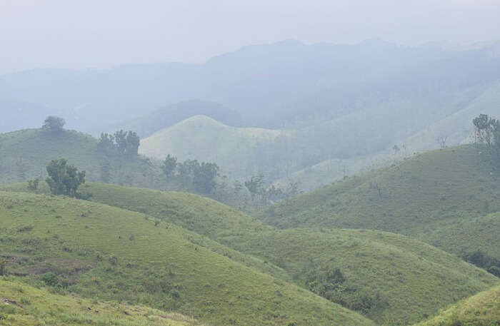 Greenery place