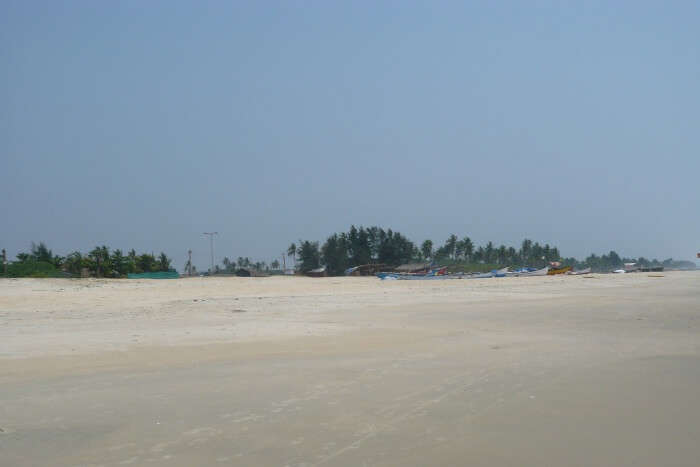 Beach and trees