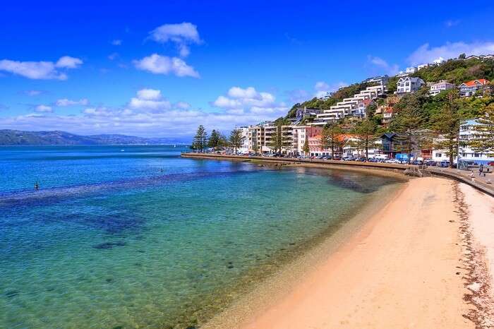 beaches nearby wellington