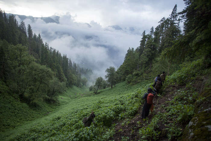 Adventurous Treks Near Kasol