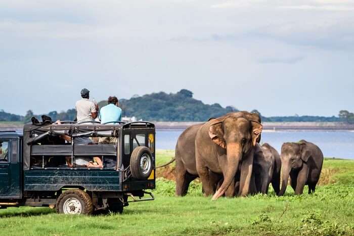 Amazing Chundikulam National Park