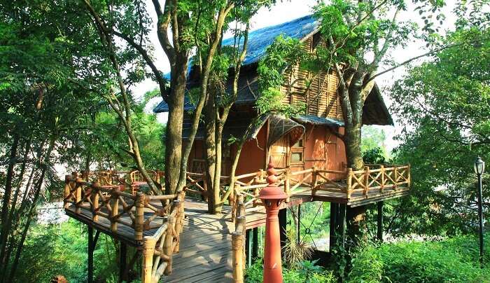 18 Best Honeymoon Resorts In Wayanad For A 2022 Romantic Trip
