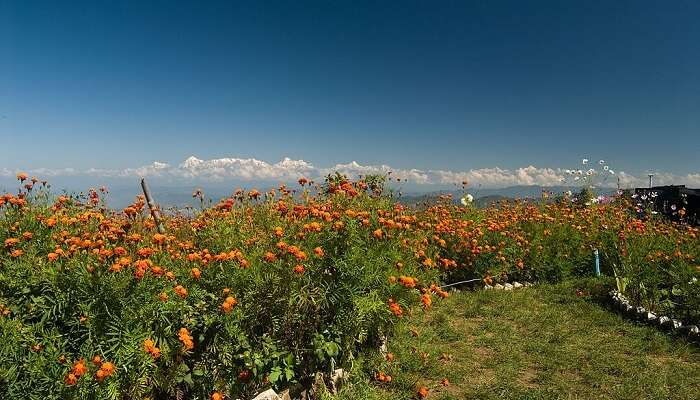 A colorful view of Mukteshwar which is counted among the best places to visit in North India