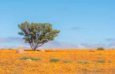 serengeti national park how to visit