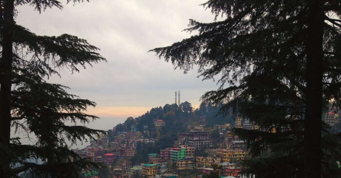 Mcleodganj Tour Package 