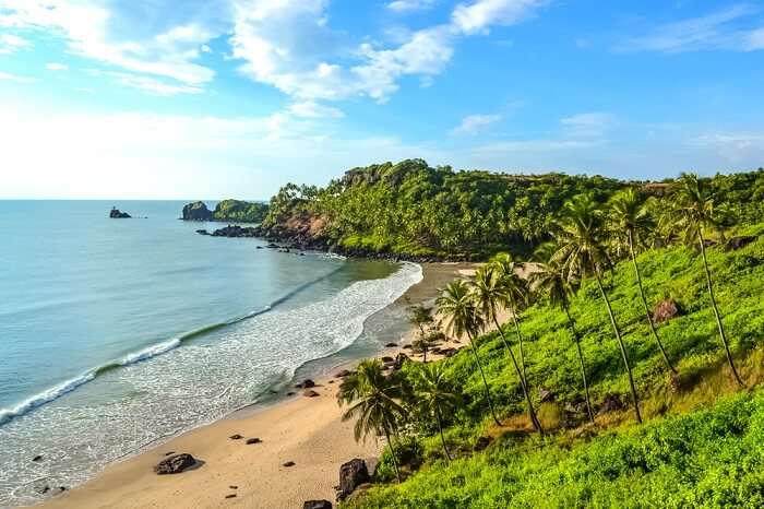 Image result for beach in goa