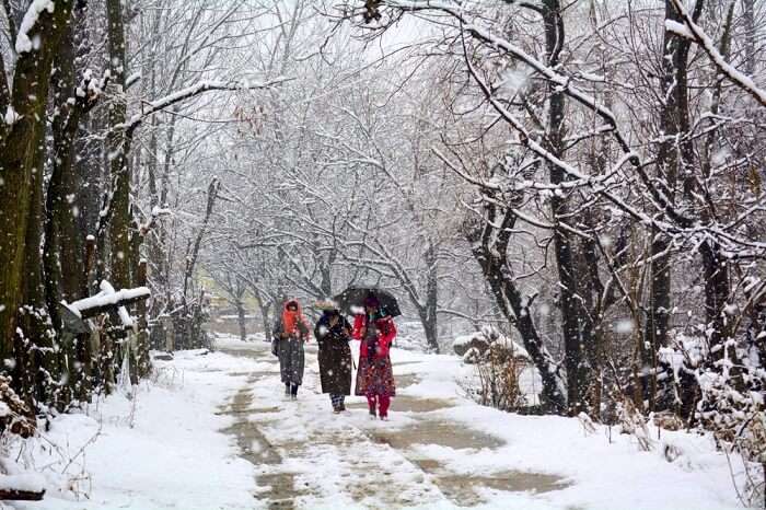 snowfall in uttarakhand 2019 cover