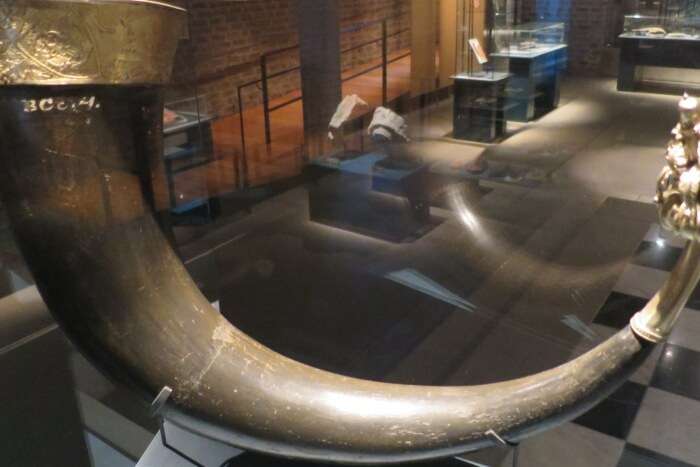 Horn in museum