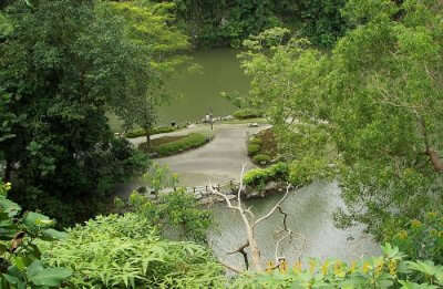 Bukit Batok Town Park is one of the most romantic places to visit in Singapore for honeymoon