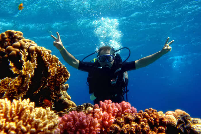 A person Scuba Diving in Queensland