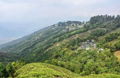 Darjeeling is one of the scenic places for snowfall in India 