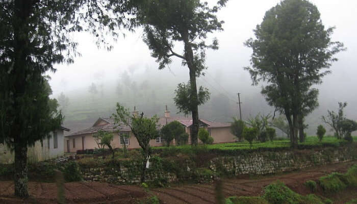 Glenmorgan is one of the scenic places in Ooty