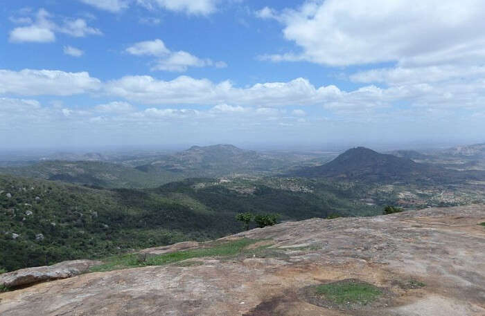 Horsley Hills View