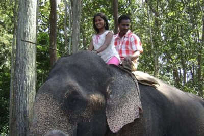 A diverse range of flora and fauna which is the best honeymoon places in tamil nadu.