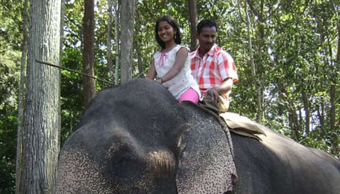 A diverse range of flora and fauna which is the best honeymoon places in tamil nadu.