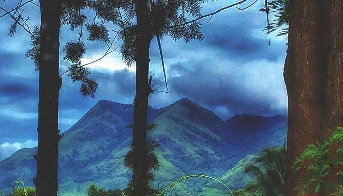 Kalpetta
