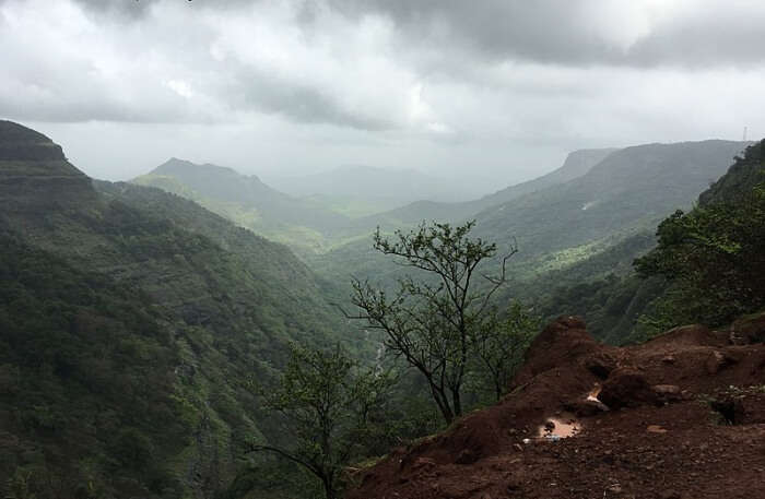 Mountains View