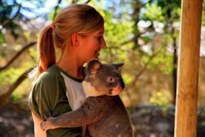 Lone Pine Koala Sanctuary cover img