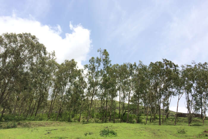 Malshej Ghat