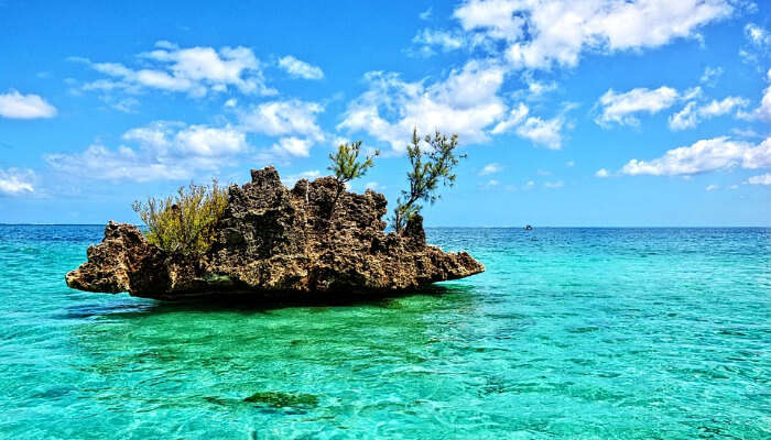 Mauritius Beach