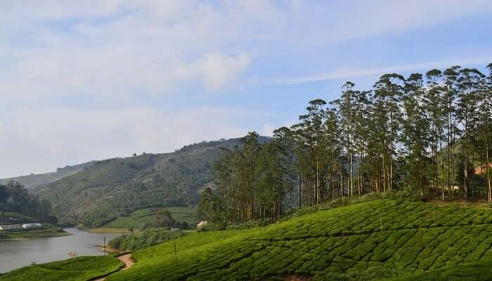 romance in the hills of the high wavy mountains a spectacular honeymoon places in tamil nadu.