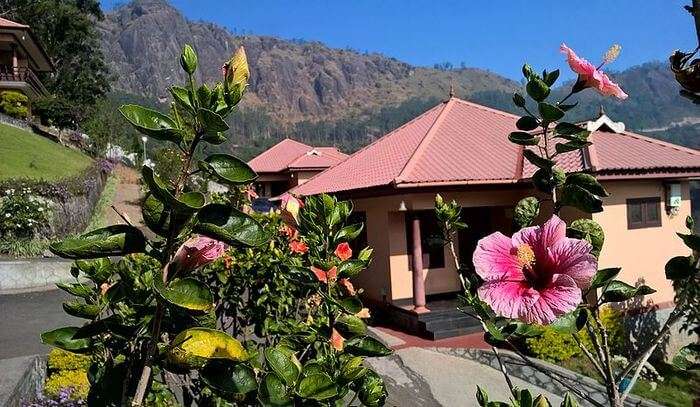 Munnar in Kerala is one of the famous honeymoon places in India in May