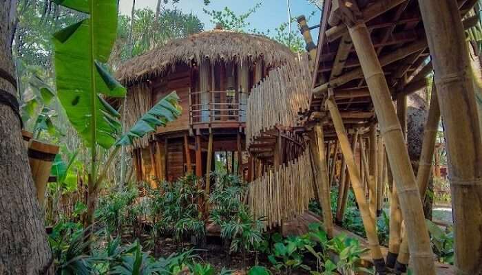 treehouse hotel