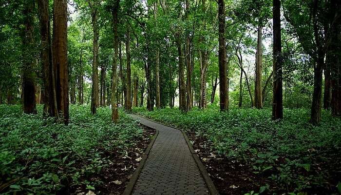 Nilambur