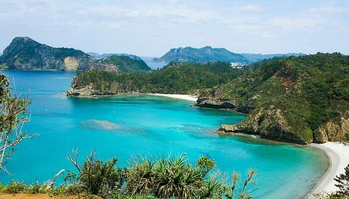 Island View