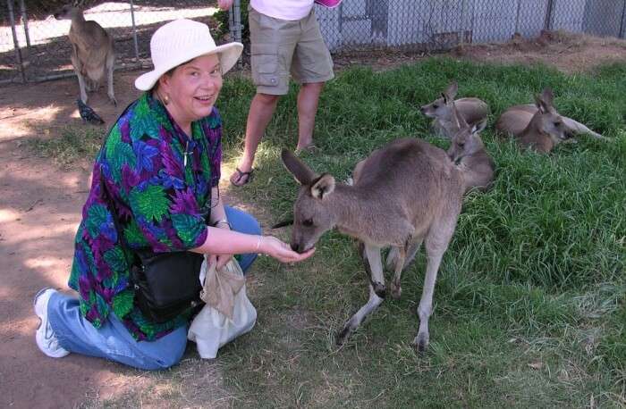 Queensland Make Time To See Kangaroos